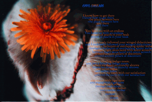 Visual poem, Owl Dream